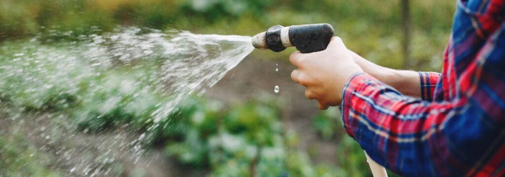 Consejos para ahorrar agua en tu huerto