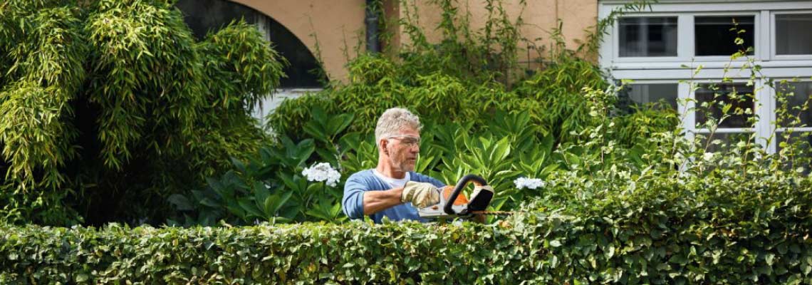 Motivos para elegir comprar un cortasetos