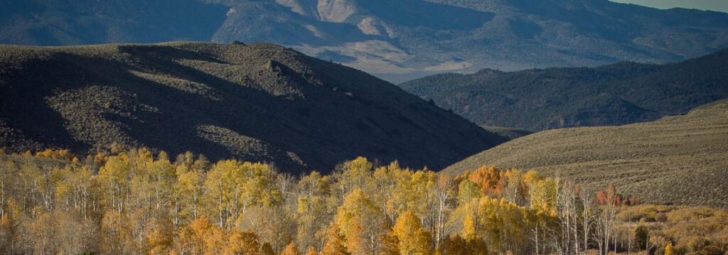 Cómo preparar el terreno en otoño para una buena cosecha la próxima temporada