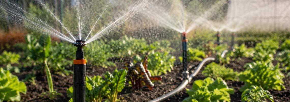 Cómo elegir un sistema de riego para huertos pequeños